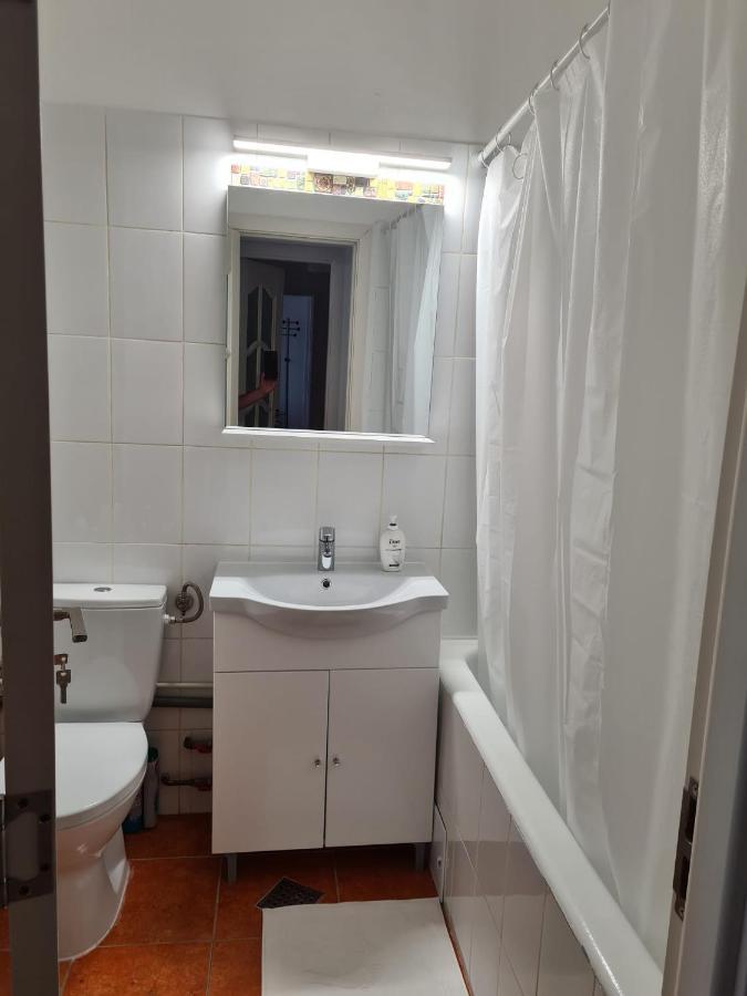 Rene'S Leisure Apartment Букурещ Екстериор снимка